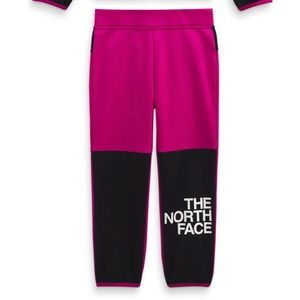 The North Face Kids Winter Warm Pants Toddler Girl 6T